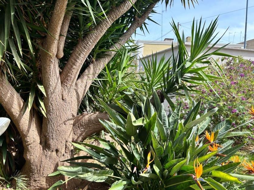 Giardino A Mare Apartment Бари Екстериор снимка