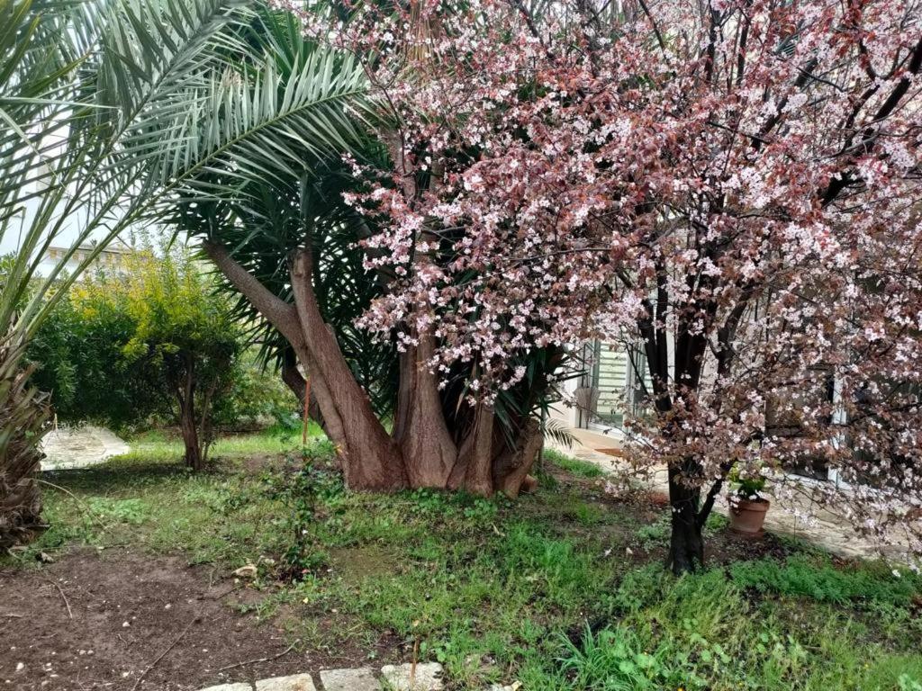 Giardino A Mare Apartment Бари Екстериор снимка